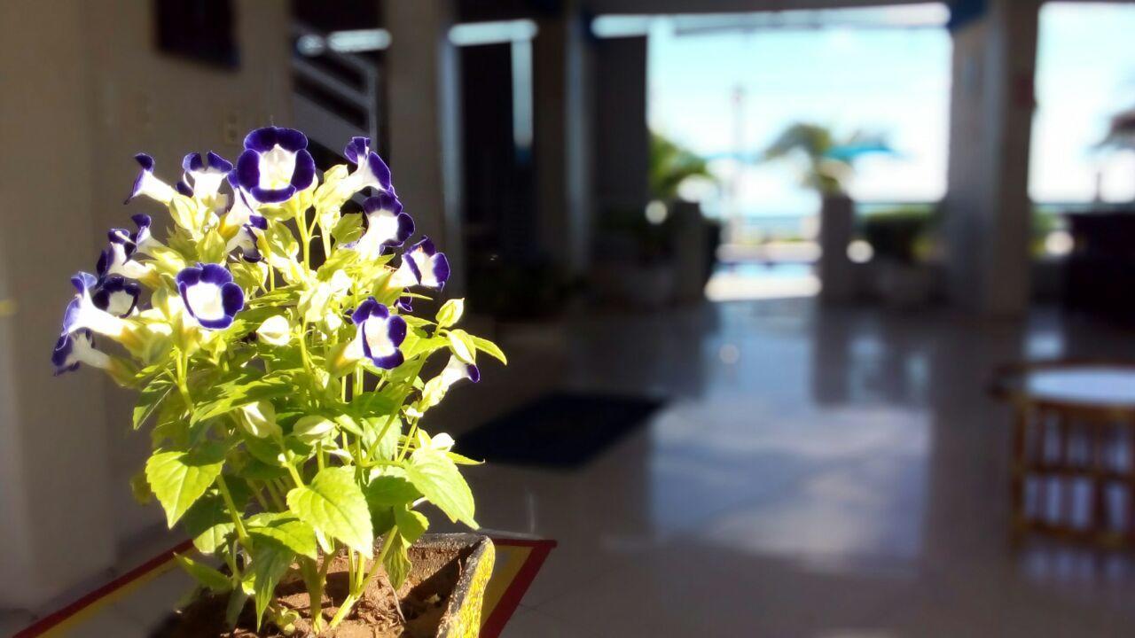 Brisa Mar Hotel Flecheiras Exterior foto